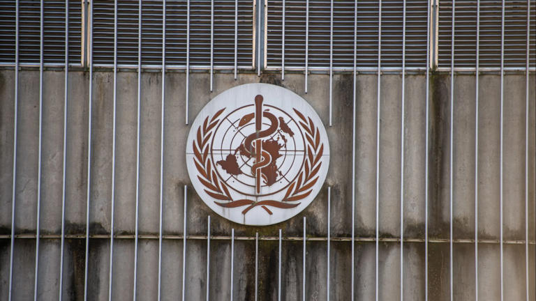 3 dead in suspected rodent-linked hantavirus outbreak on cruise ship
