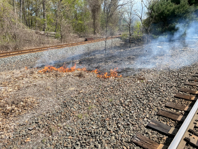 Springfield crews contain brush fire on Bay Street