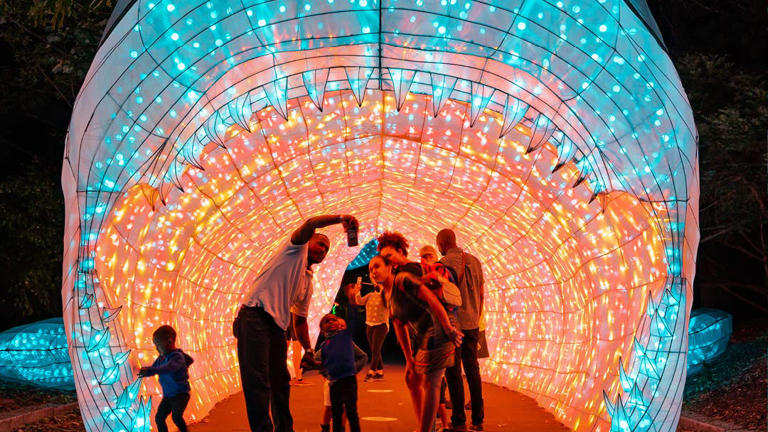 Minnesota Zoo unveils new 'Wanderlight Trail' nighttime attraction