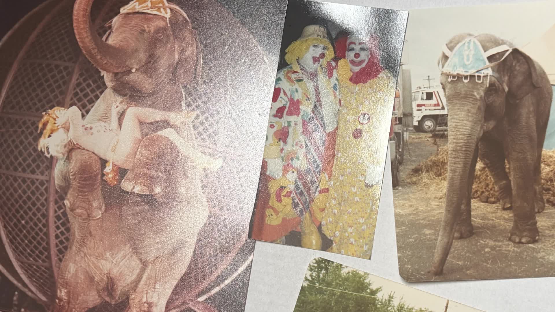 When the circus came to town: Longtime clown reflects on legacy of Aut ...