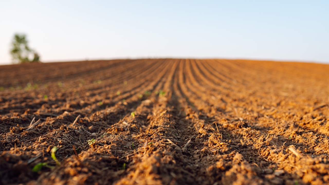 10 worst things you can do to your soil (and how to fix it)