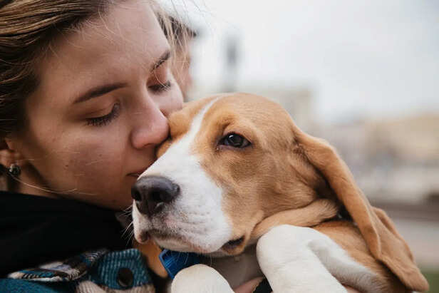 What happens in a dog’s brain when you cry: science reveals