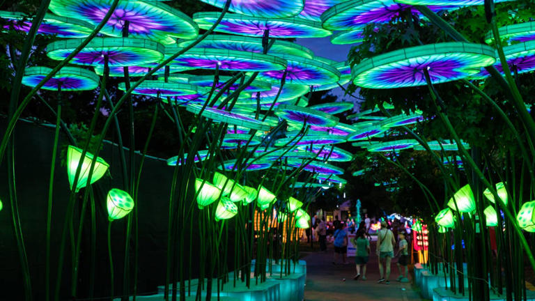 Minnesota Zoo unveils new 'Wanderlight Trail' nighttime attraction