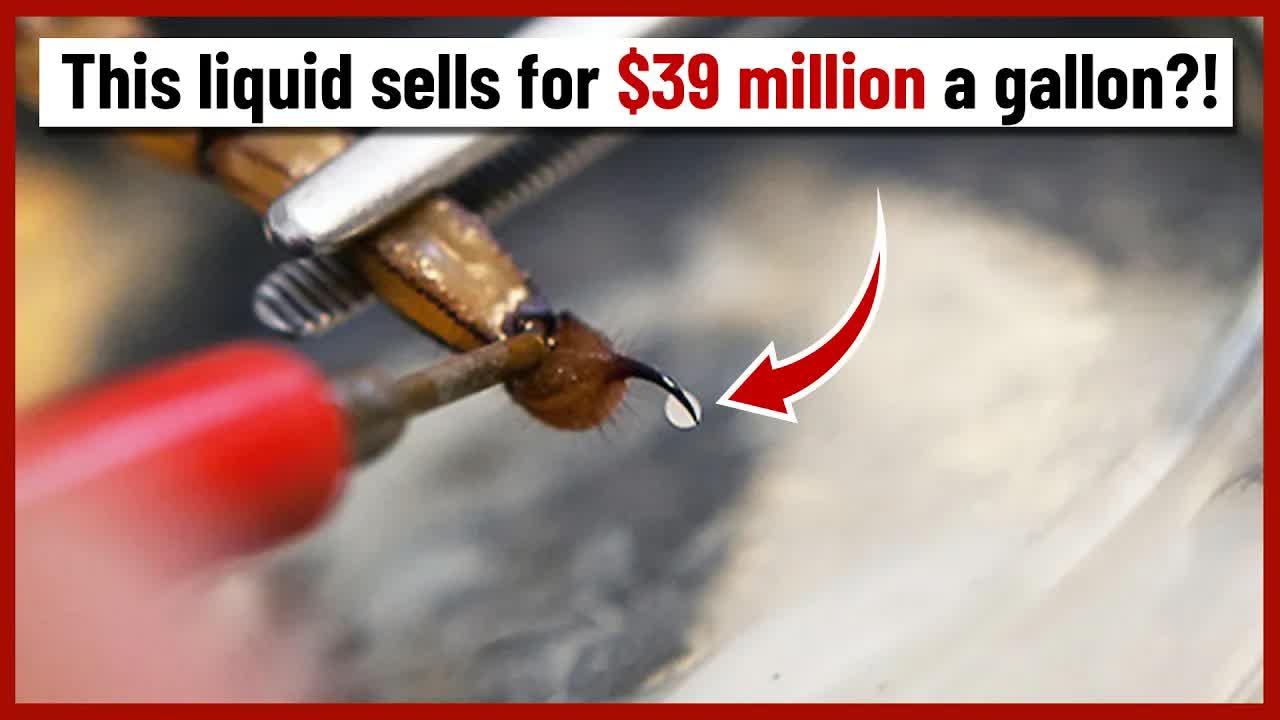 Most expensive liquids! Scorpion venom costs what?