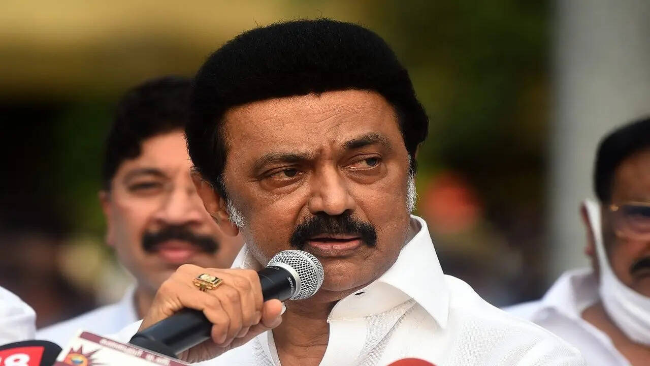 Tamil Nadu election results: Stalin says he worked hard as CM beyond ...
