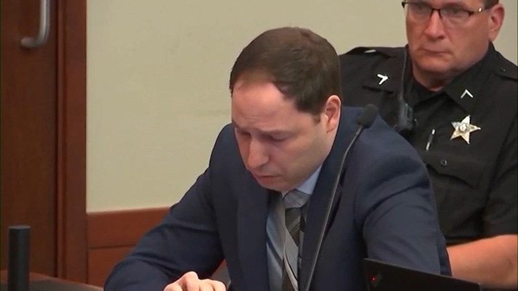 Brendan Banfield asks for murder conviction to be set aside: Au Pair Affair