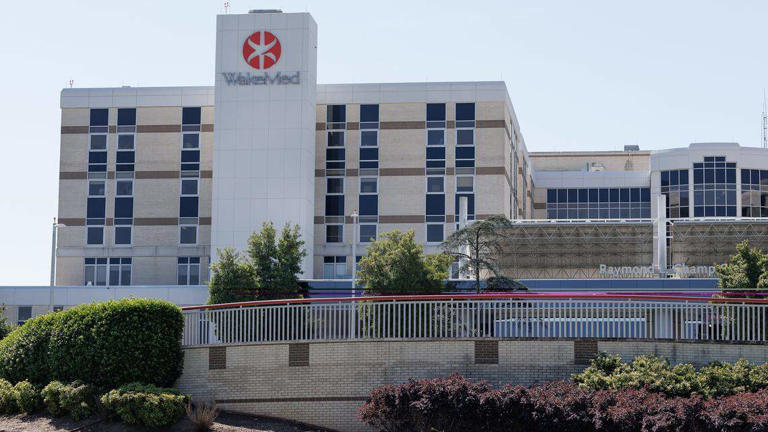 Wake County may delay vote on WakeMed merger with Atrium Health. What ...