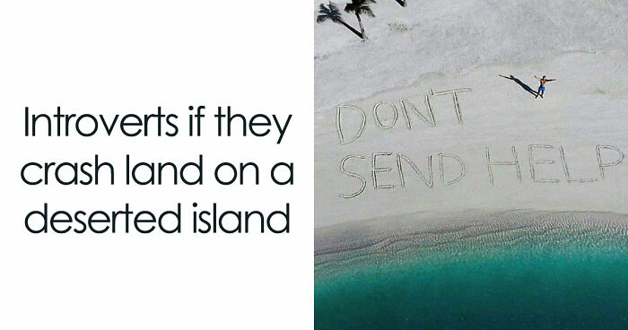 74 silly memes that feel suspiciously relatable