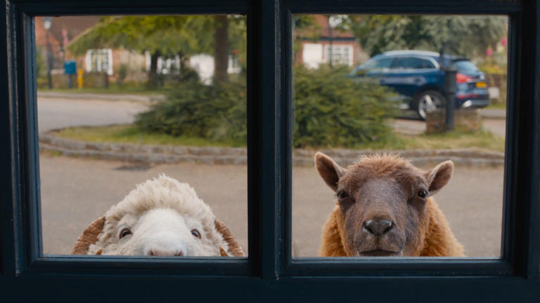 'The Sheep Detectives' interview: Julia Louis-Dreyfus and more