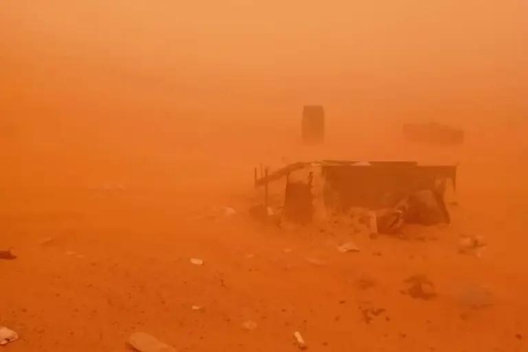 UN mine action service clears 150 million square meters in Sahara, highlights ongoing risks