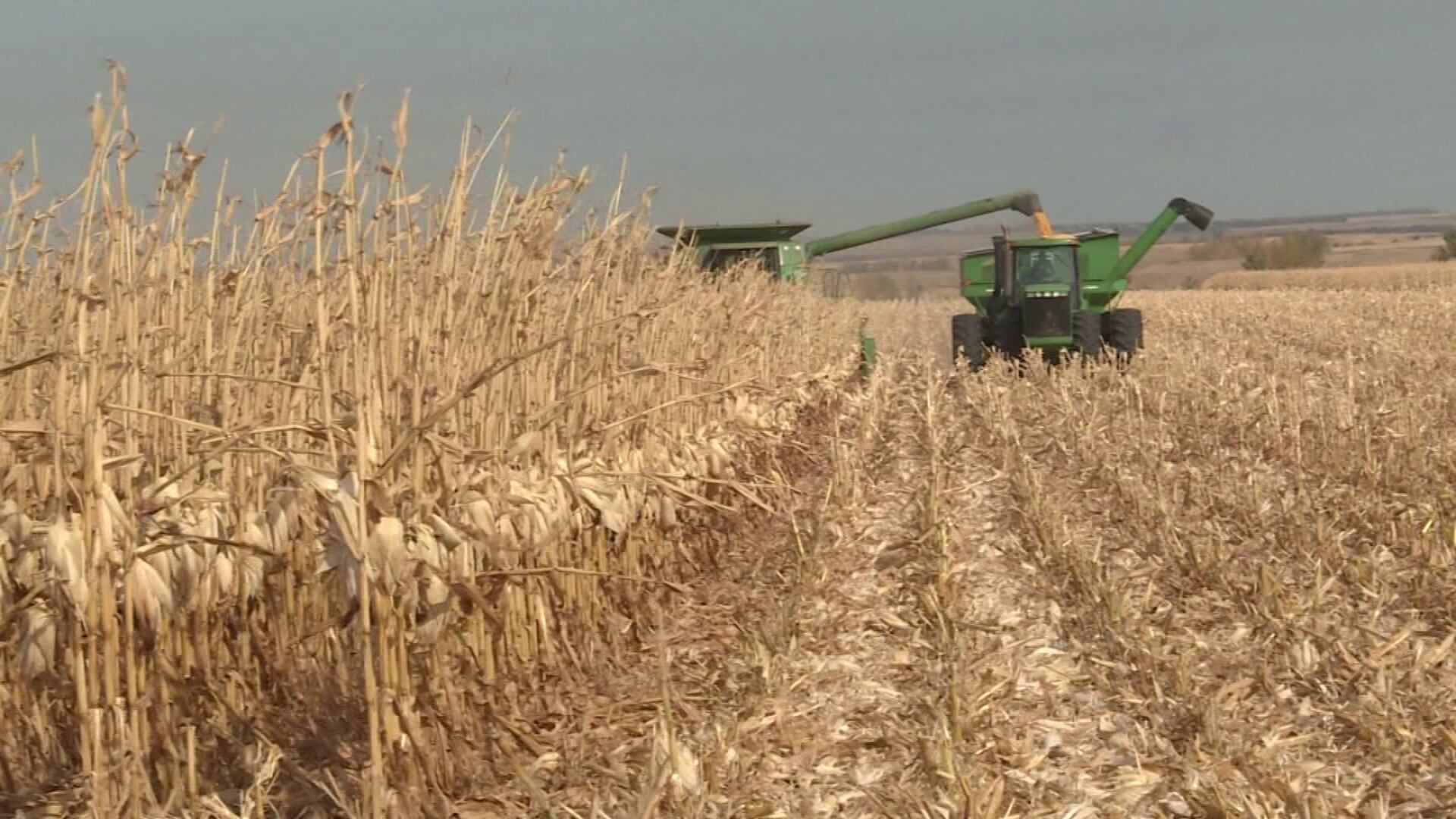 Iowa farmer pleads guilty to $250K bankruptcy fraud scheme