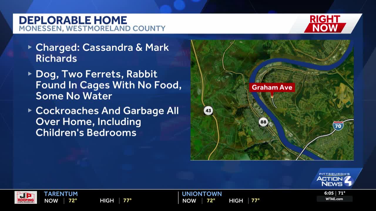 Monessen couple charged after children, pets found living in deplorable ...