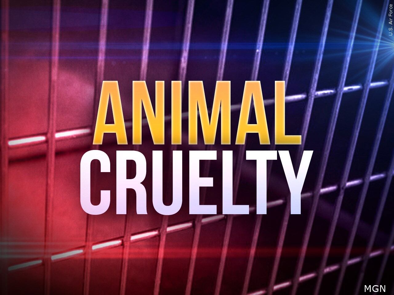 Calhoun County woman arrested for aggravated animal cruelty, sheriff’s ...