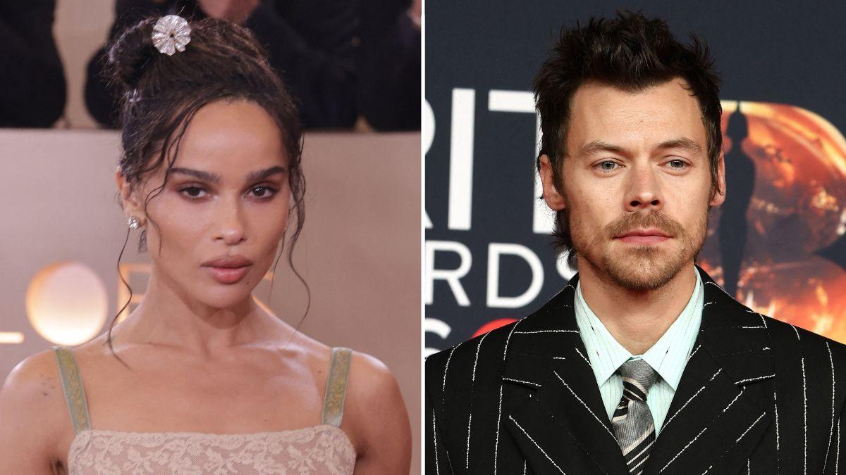 Zoë Kravitz hides huge engagement ring from Harry Styles on 2026 Met ...