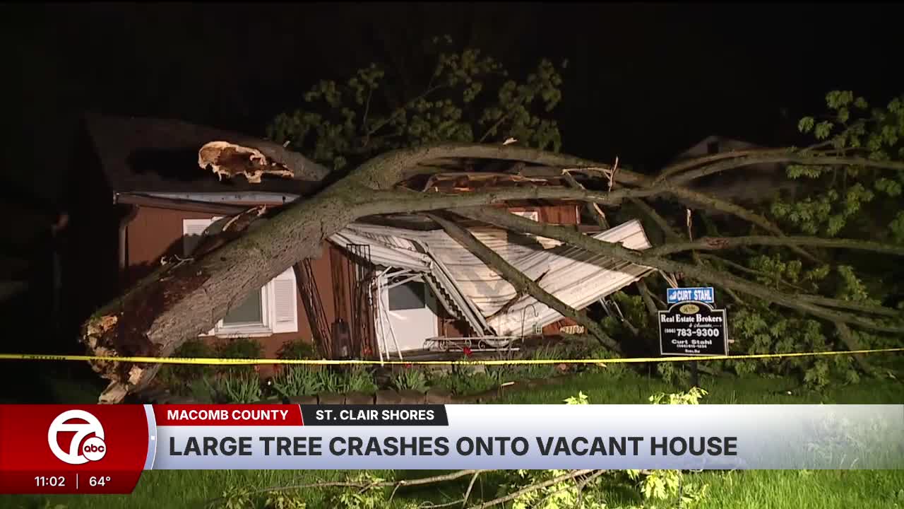 Large trees crash onto homes during storms in Southeast Michigan