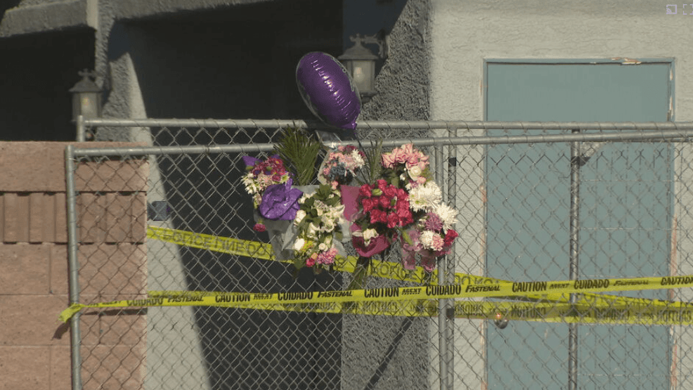 Police say suspect sped through red light in crash that killed teen ...