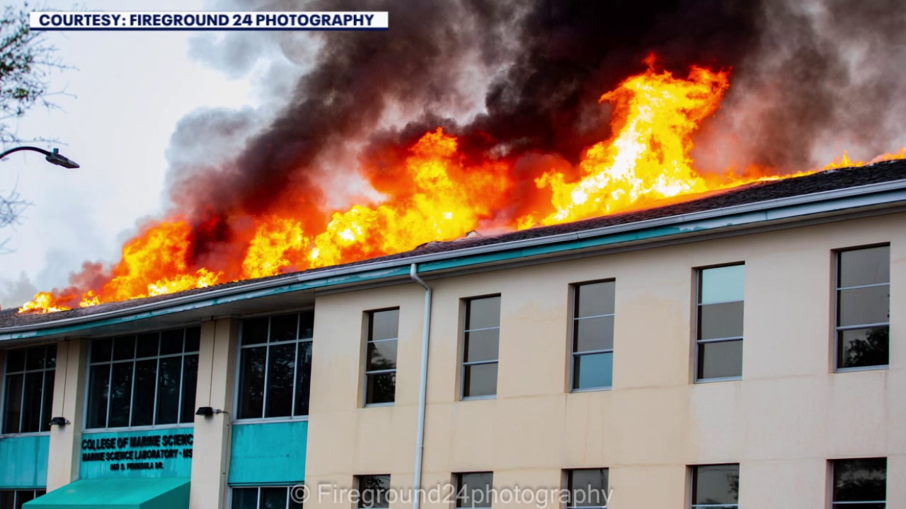 Lightning strike likely sparked massive fire that destroyed USF St ...