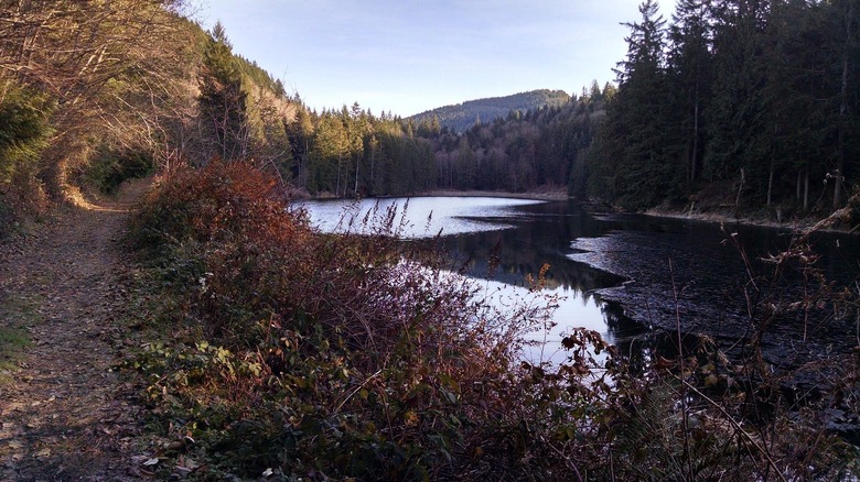Sandwiched between Vancouver and Seattle is Washington's underrated ...