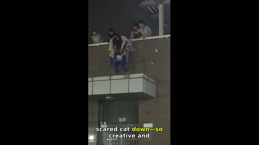 People rescue cat from roof using makeshift tool in Shaanxi