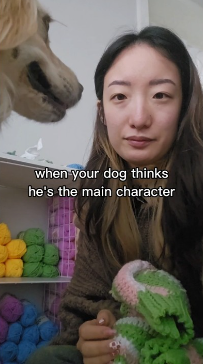 When the dog is actually right