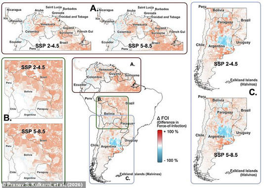 Scientists predict that climate change will lead to a massive spread of rodent–borne viruses in South America 