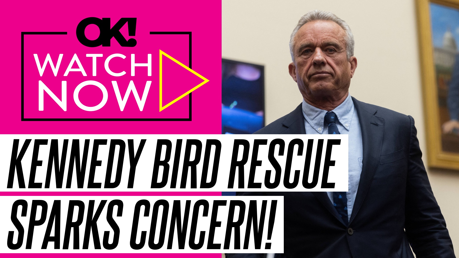 Robert F Kennedy Jr.'s bizarre airport bird rescue sparks concern: 'Don ...