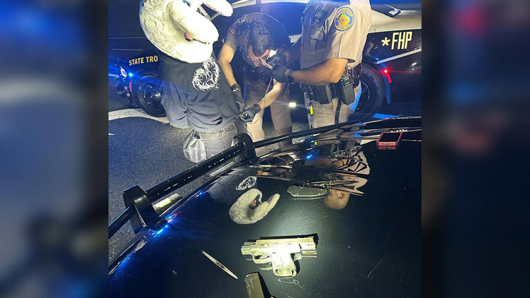 Pasco County motorcyclist in bunny helmet arrested after 120 mph chase ...