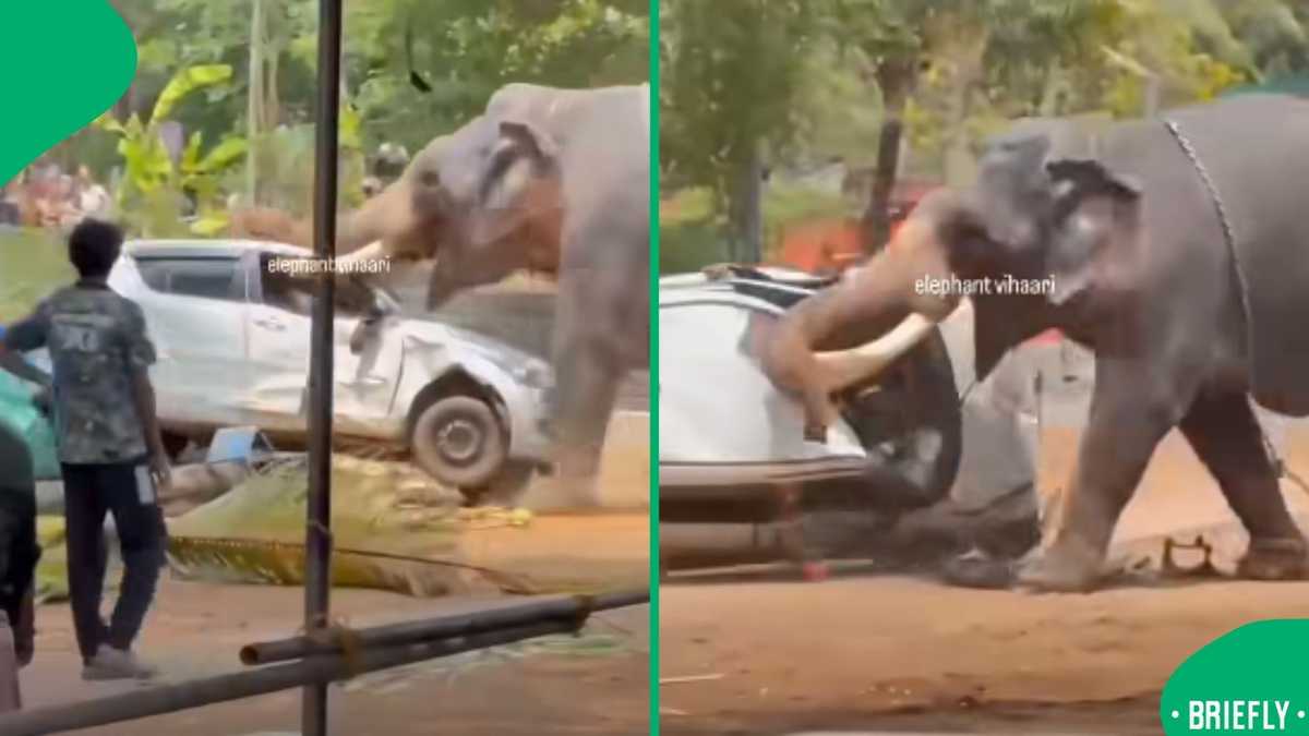 Man killed in elephant attack during festival as footage showed chaos
