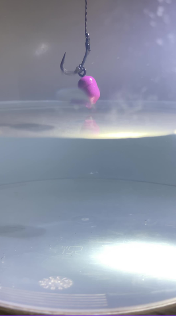 Carp rig setup montage highlights pro fishing techniques