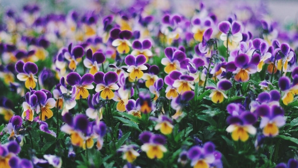 April showers, May results