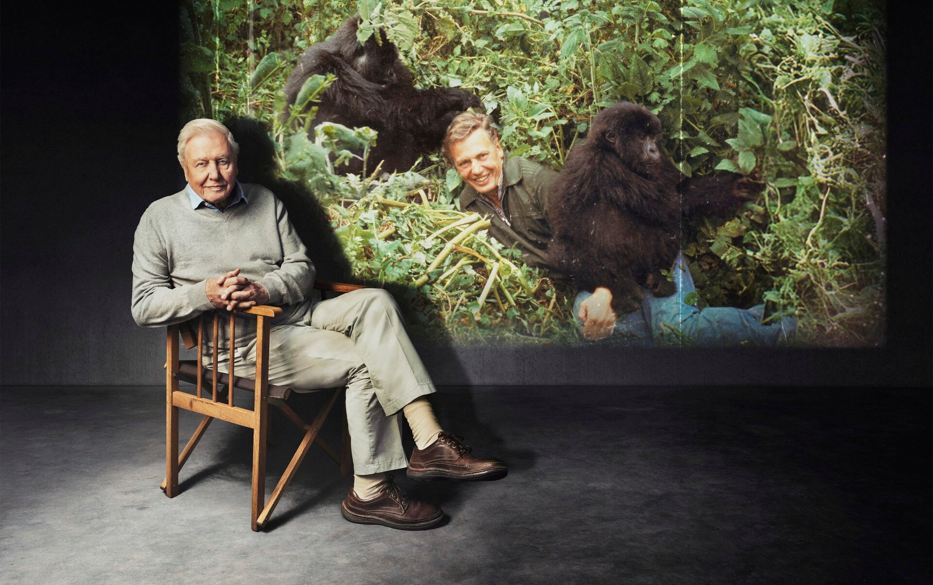Attenborough 'would never get a TV show now'