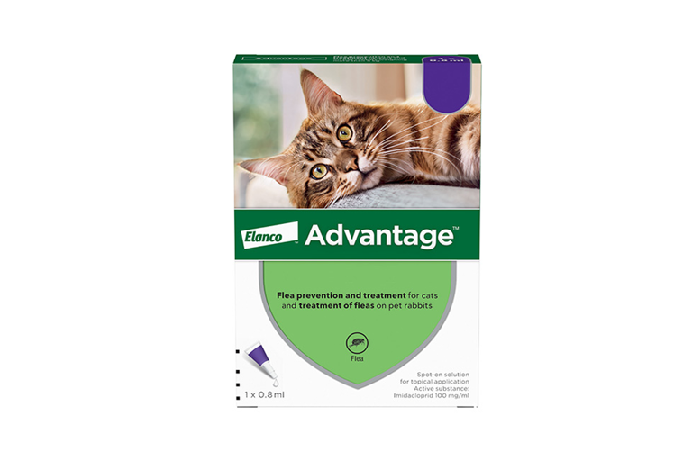 Best flea treatments for your cat, recommended by vets