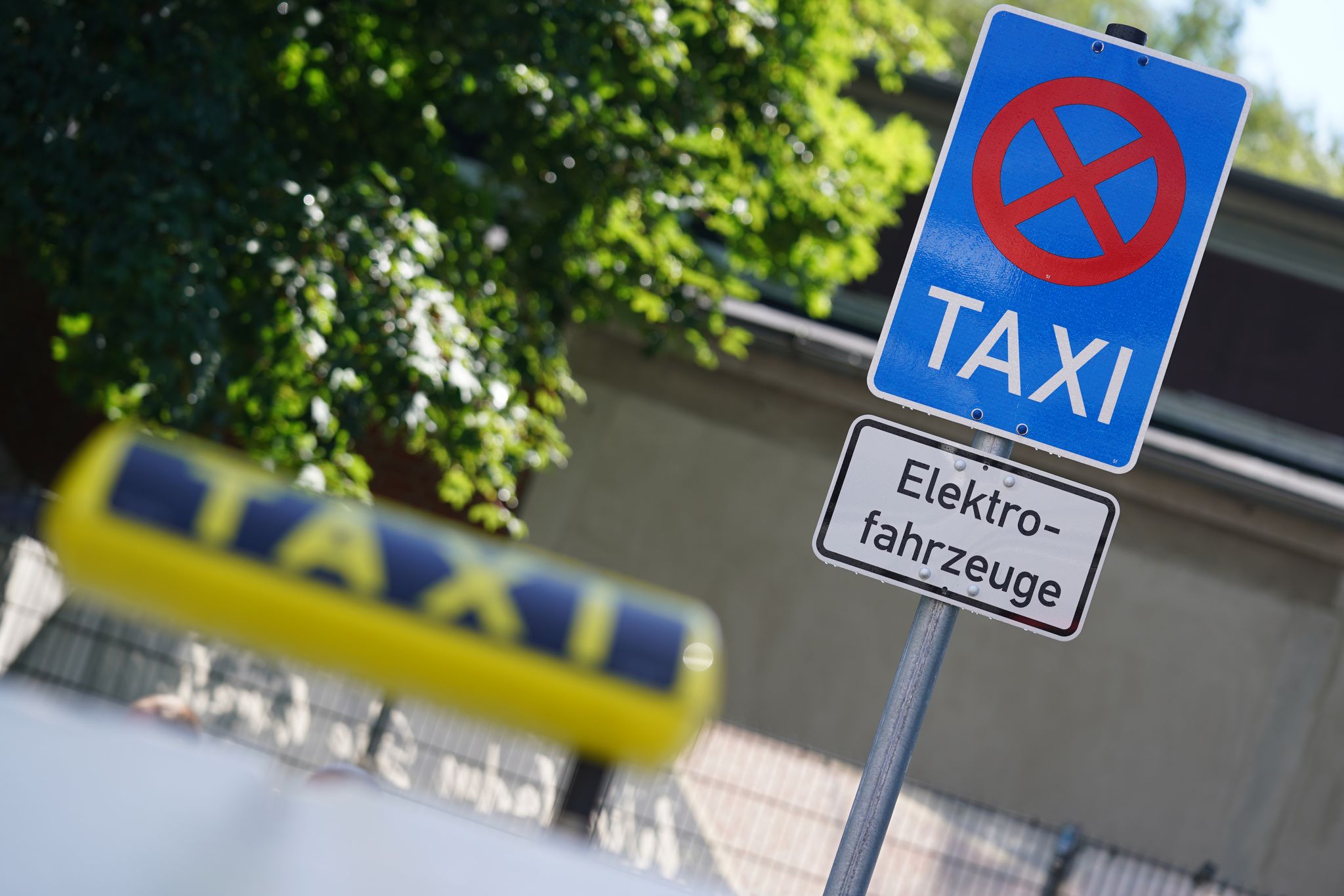 Rund ein Viertel der Hamburger Taxis fährt rein elektrisch
