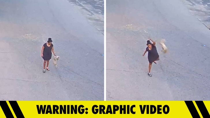 Florida woman charged after brutally throwing and kicking dog on video
