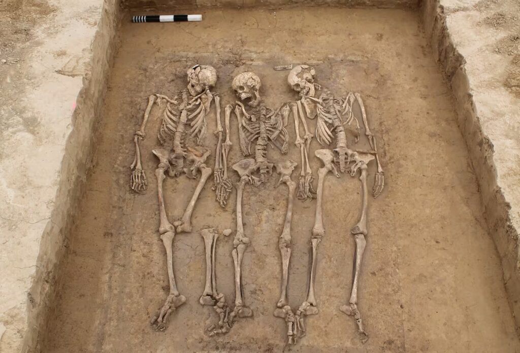 Three siblings, unearthed in Ergoldsbach, Bavaria, a town dating back to the early Middle Ages. Credit: Kreisarchäologie Landshut/ Richter.