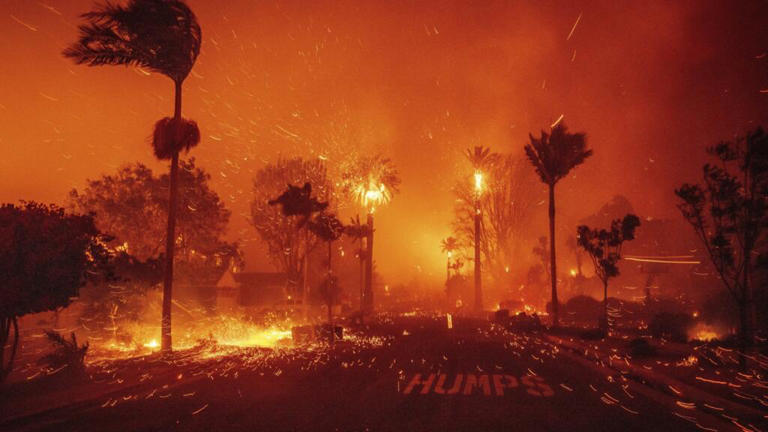 États-Unis : le suspect d'un des incendies de Los Angeles aurait agi ...