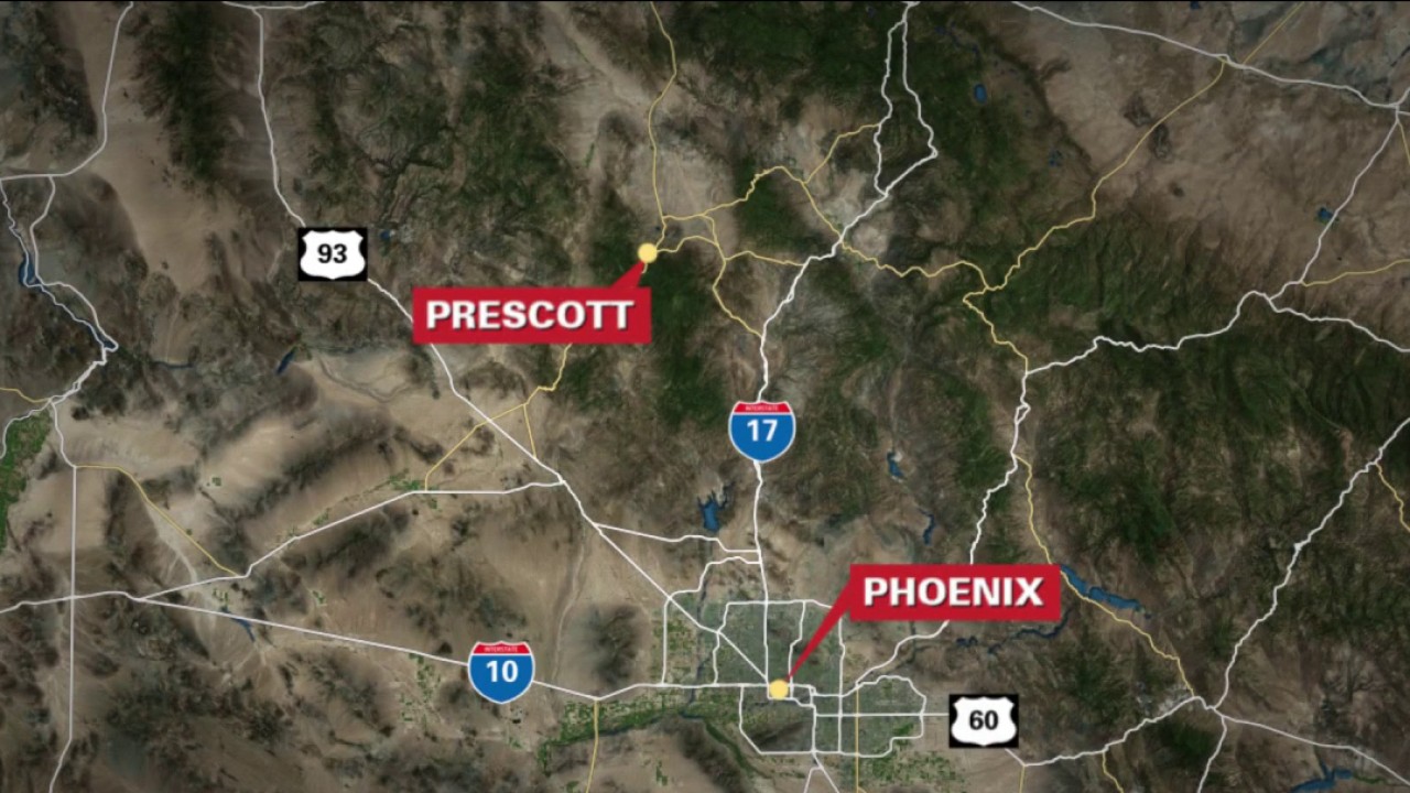 German shepherd kills rabid bobcat in Prescott