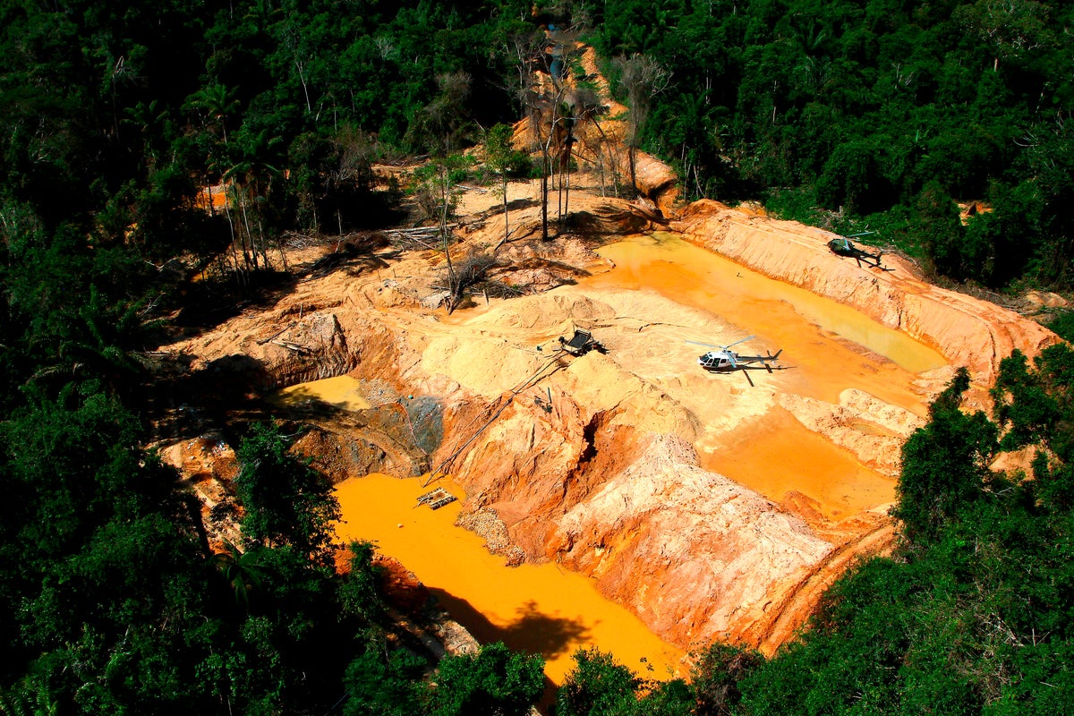 Aumento de los precios del oro impulsa minería ilegal en la Amazonia de ...
