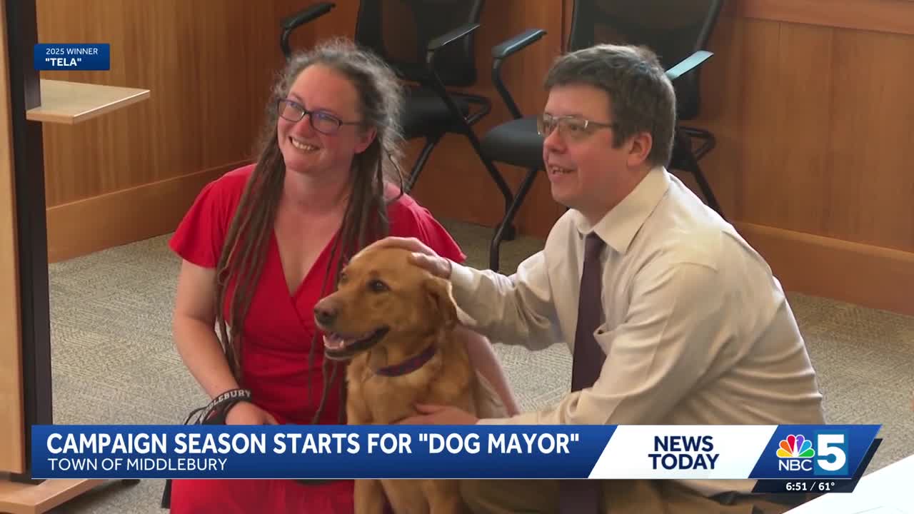 Town of Middlebury now accepting nominations for 2026 'Dog Mayor'