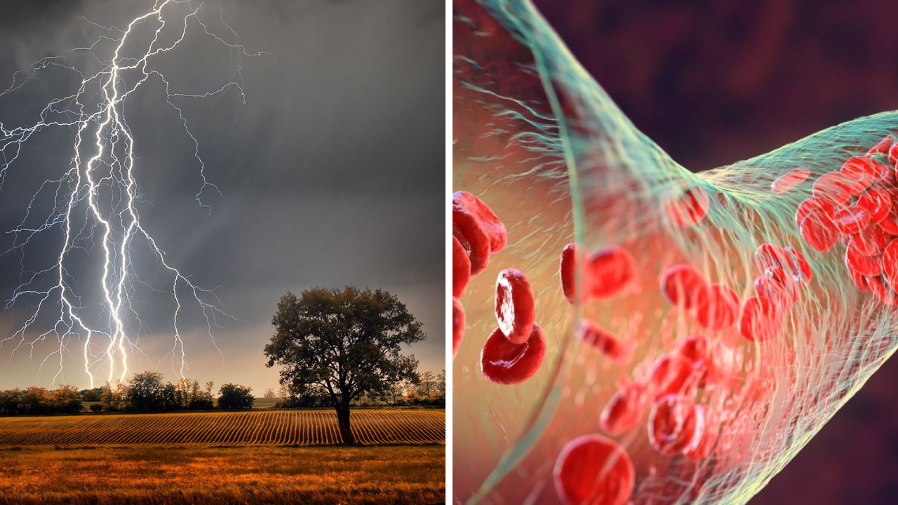 29 widely believed facts that science has proven wrong