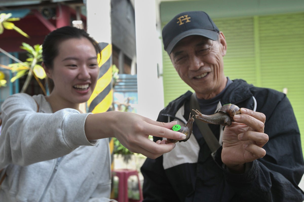 Why a Taiwan town began racing snails after devastating earthquakes