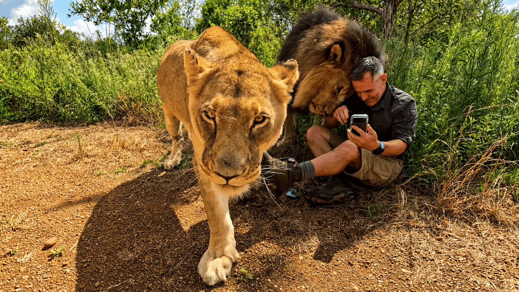 This man returned after 6 years and the lions remembered him