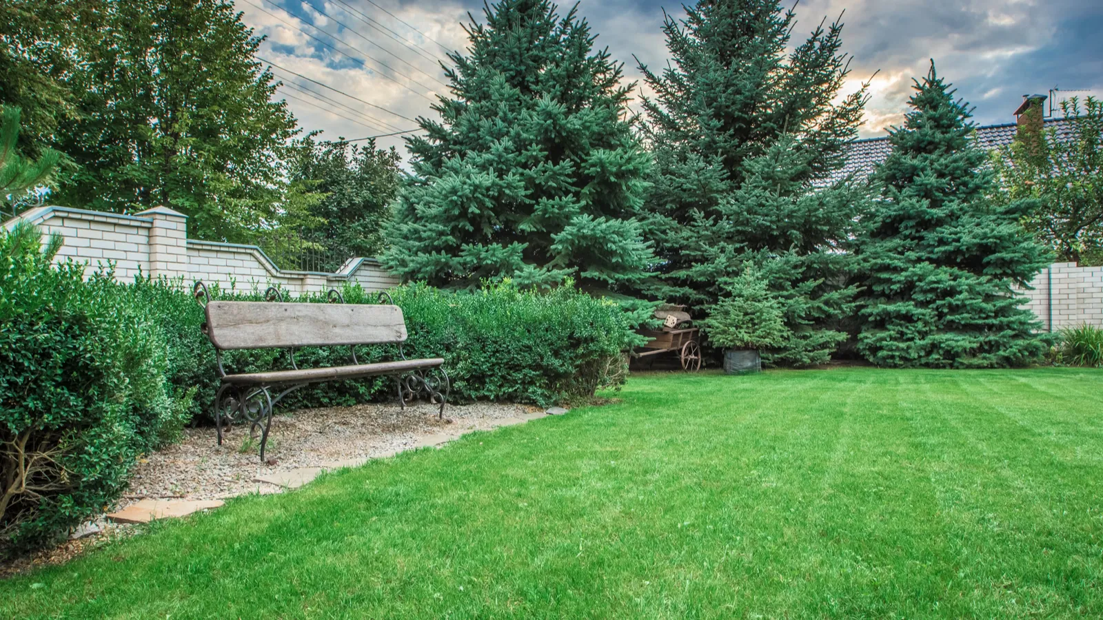 Landscaping choices that are making your yard look outdated