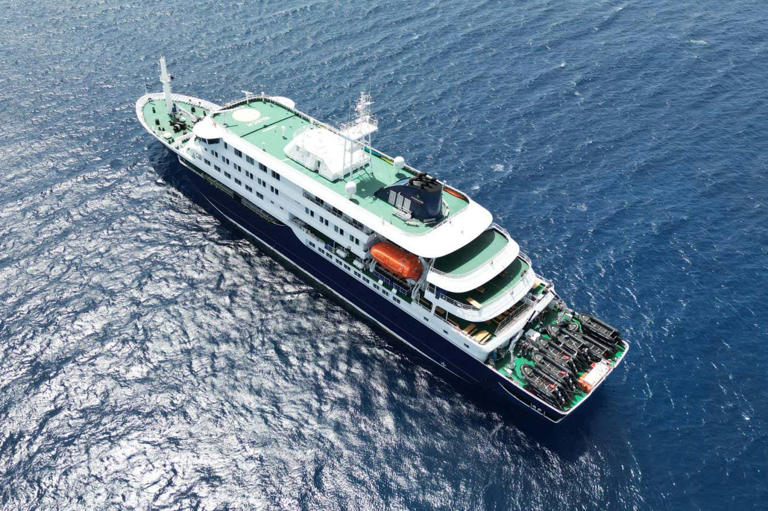 Hantavirus: Where has the deadly cruise ship outbreak come from?
