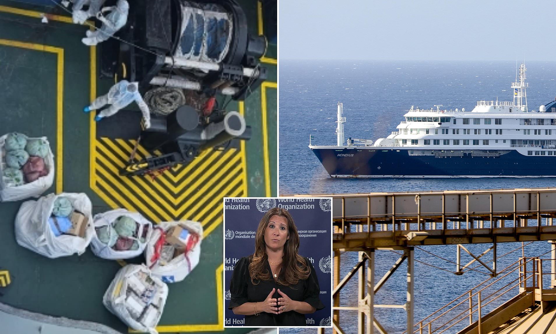 Cruise ship passenger may have boarded already infected with deadly rat ...