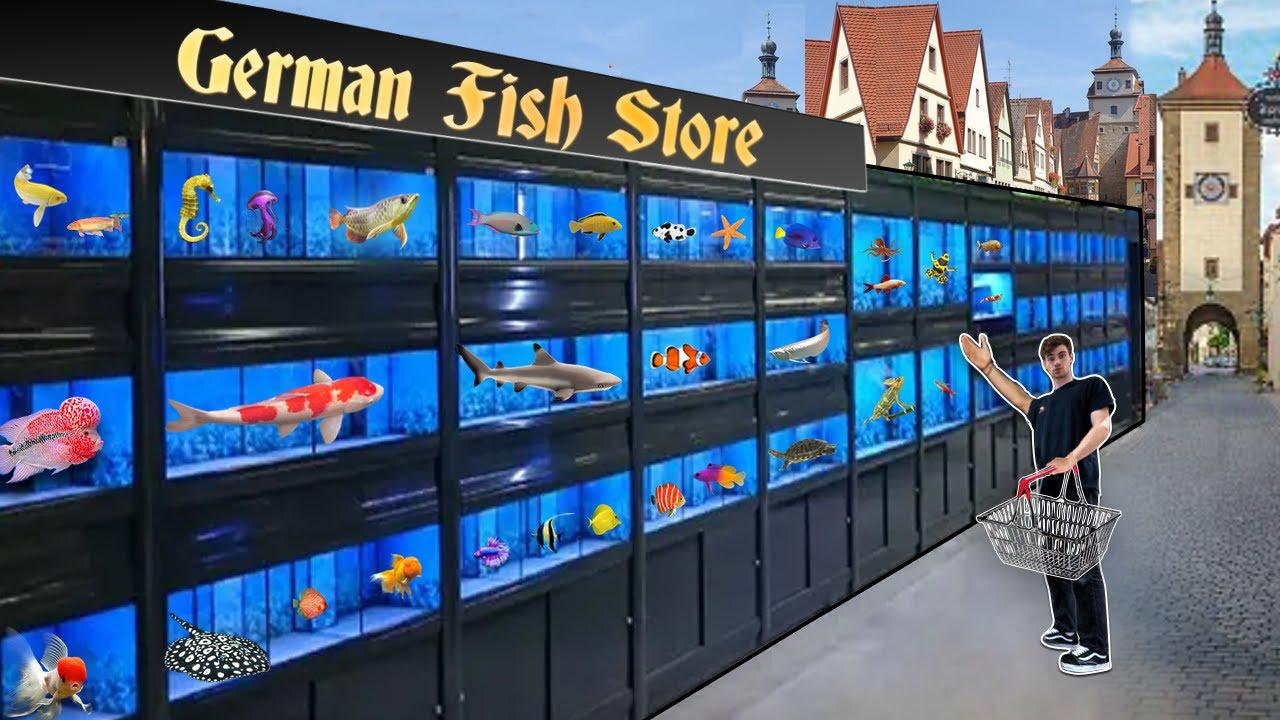Germany exotic fish store tour!