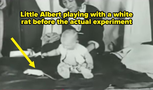 Twisted psychology studies that never should have been allowed