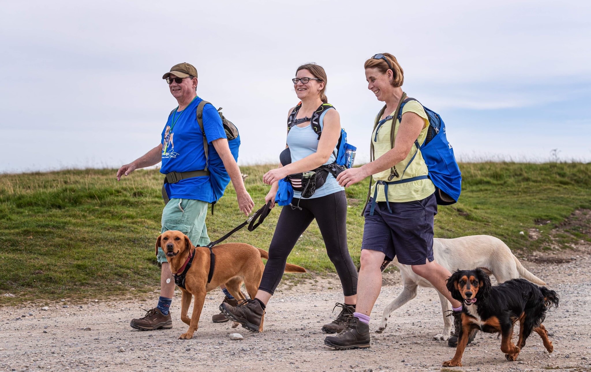 Take on Sheffield Round Walk with Support Dogs and help those affected by autism, epilepsy and physical disability