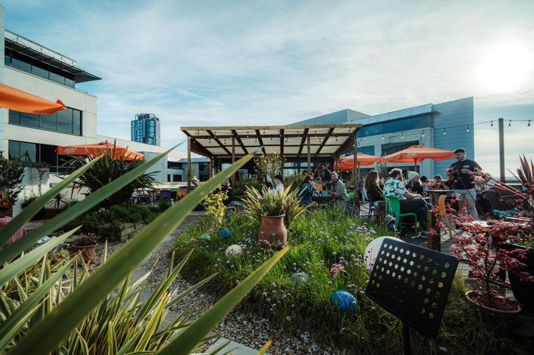 On top of an old antiques shop in Cardiff is a hidden roof garden with ...