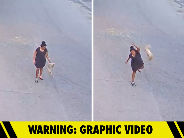 Florida woman charged after brutally throwing and kicking dog on video
